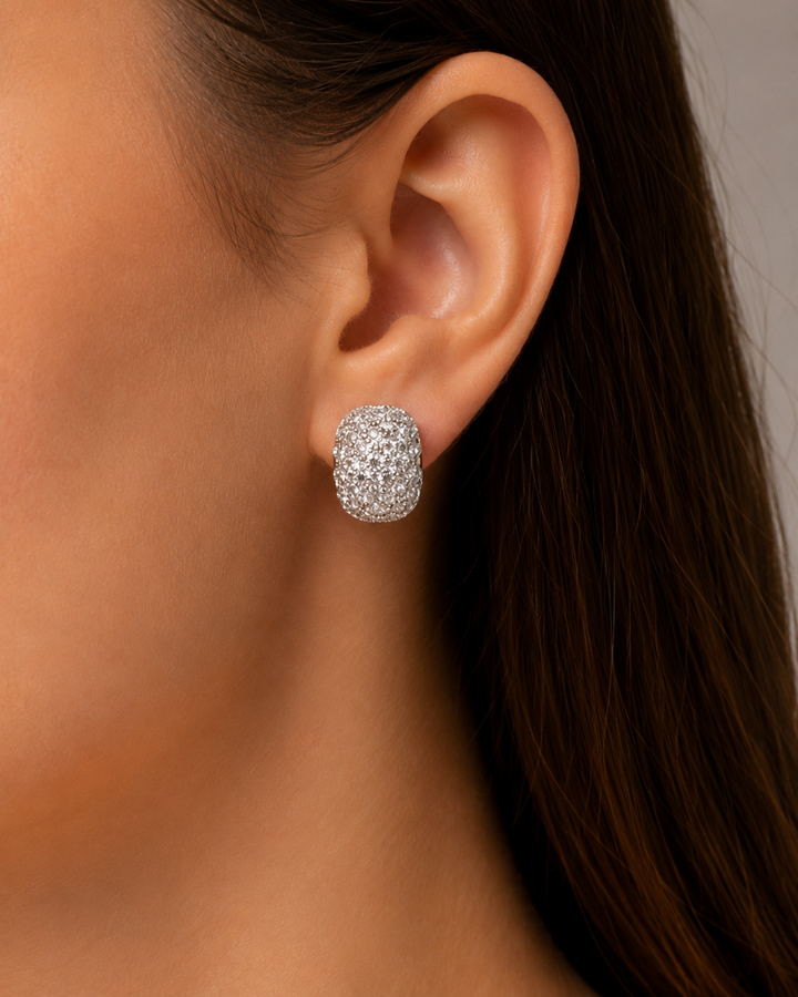 Clip On Me Earrings
