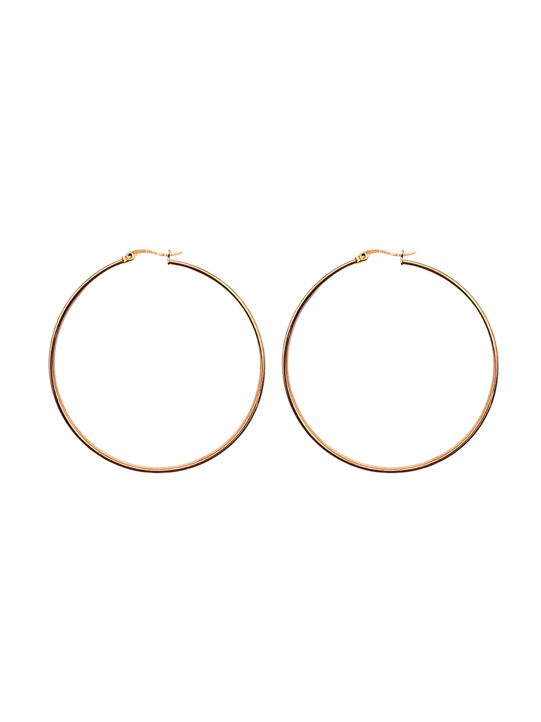 The Perfect Hoop Earrings