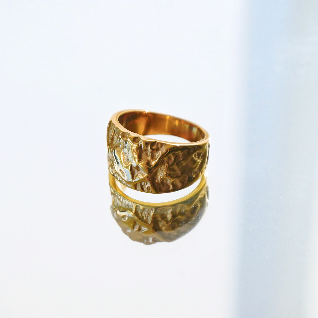 Meteorite Rings – Ms Allure