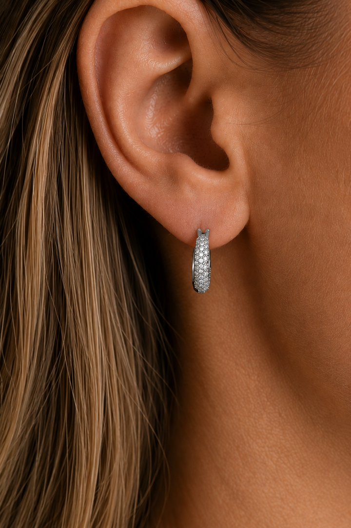 Hoop To Hoop Earrings